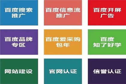 竞价托管服务案例解析